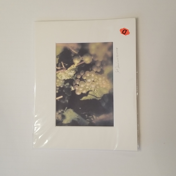 THE VINTAGE COLLECTION JOHN DIMAIO PHOTOS 1998 & 2000 PRINTS IN SEALED WRAPPER - Picture 2 of 8